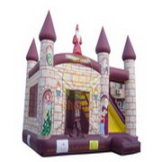 combo inflatable bouncer